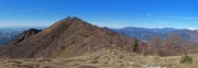 43 Dalla Stalla del Fopp sul sent. 531 verso il Monte Costone con tante betulle